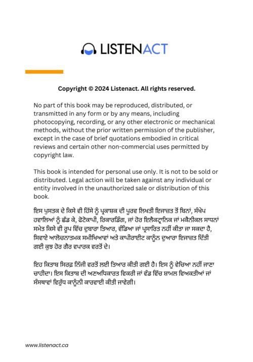 Practice English through Punjabi ebook - Image 5